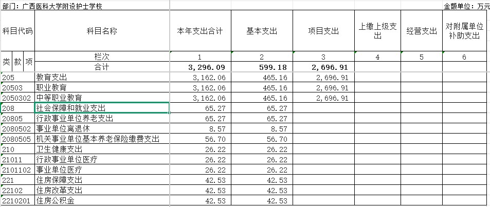 3.决算支出表.jpg